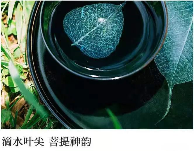 瓷器 瓷器