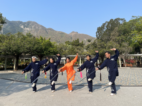 太极剑 太极剑
